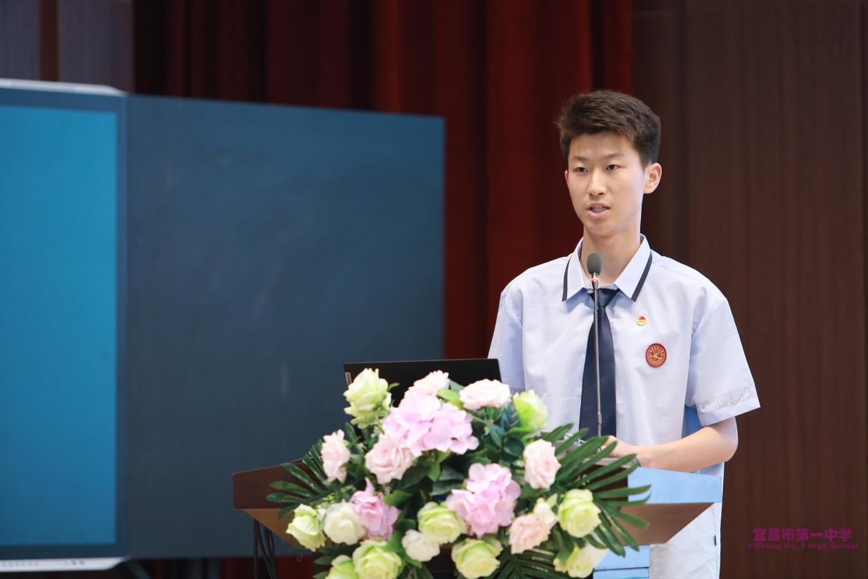 图片 12.png